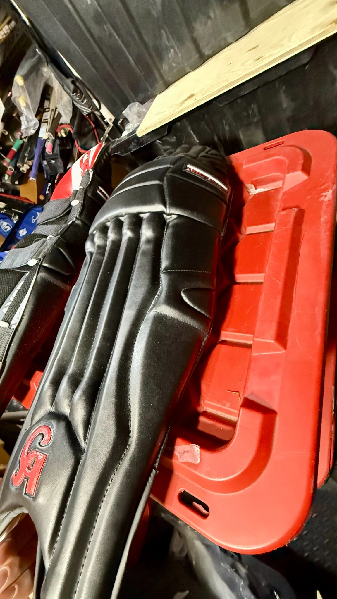 CA PLUS 15000 (PE) Batting PADS