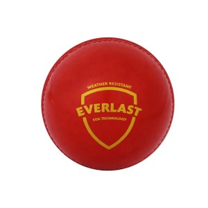 SG Everlast Synthetic Cricket Ball (Red)