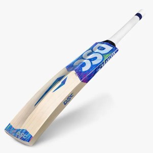 DSC BLU 300 English Willow Bat