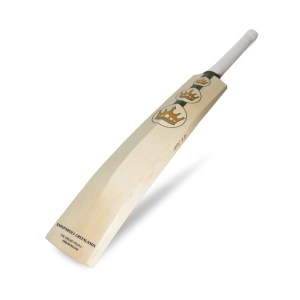 SG Triple Crown Arc 3.0 English willow Cricket Bat I Free TON Player edition Batting Gloves Red or green