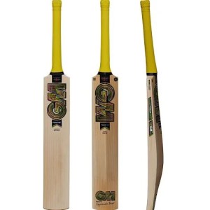 GM Psyche Original Cricket Bat (2026) I