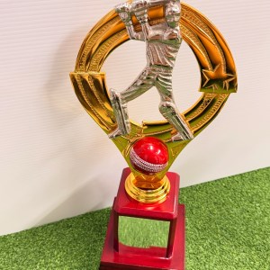 17-inch cricket trophy featuring a silver batsman inside a golden circular frame on a red wooden base - Albert Cricket Store