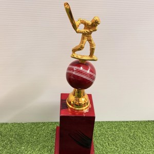 16-inch cricket trophy featuring a golden batsman on a red seam cricket ball with a wooden base - Albert Cricket Store