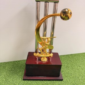 Front diagonal view of a 16-inch medium cricket trophy award on green artificial turf - Albert Cricket Store
