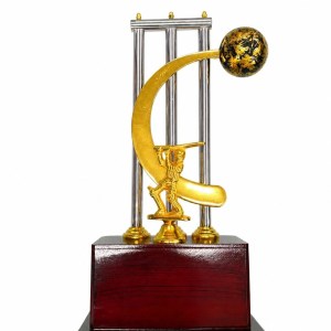 Large 18-inch golden and silver cricket trophy award with wooden base - Albert Cricket Store