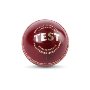 SG Test Leather Ball
