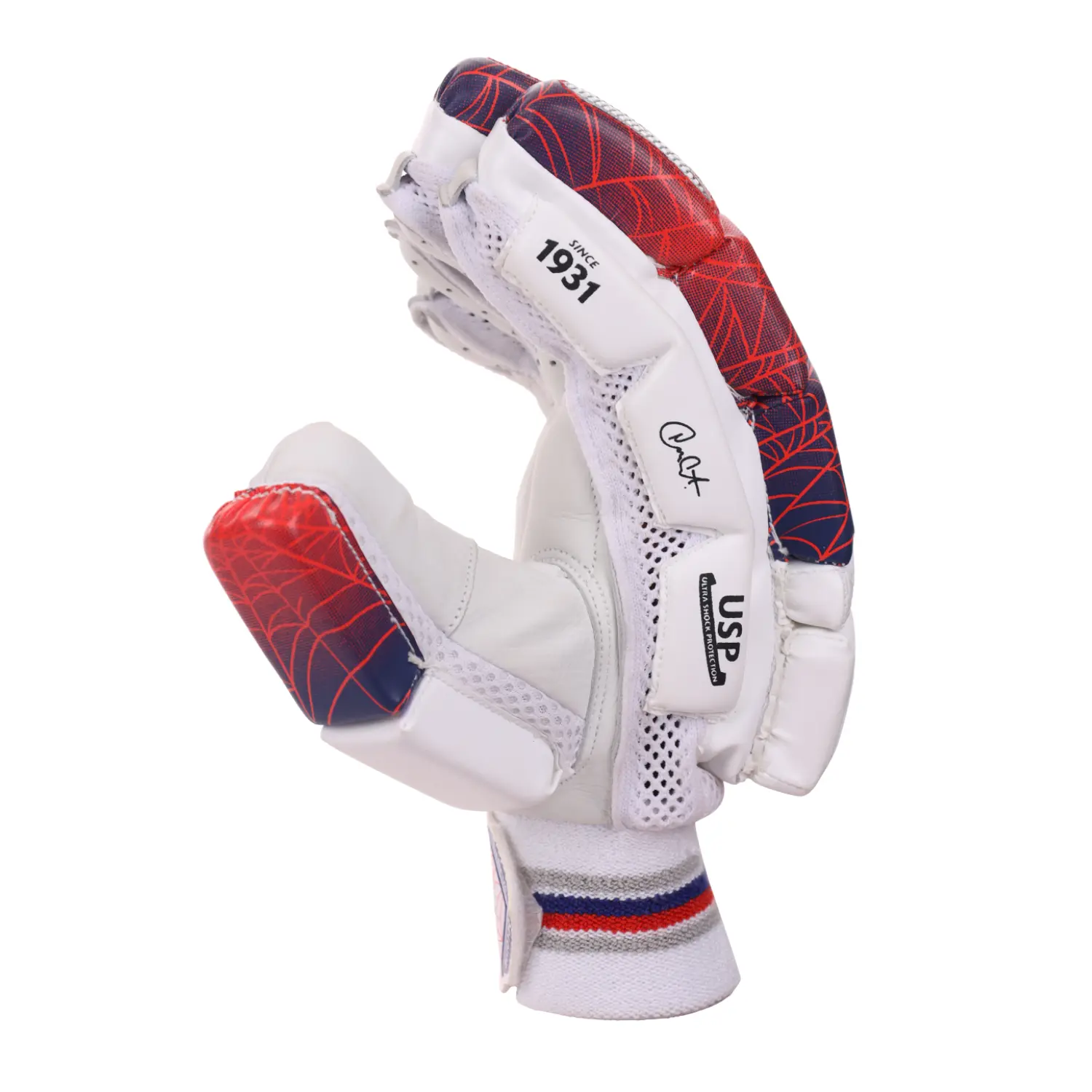 SG RP Excelite adult cricket batting gloves in white with navy blue trim on Alberta.